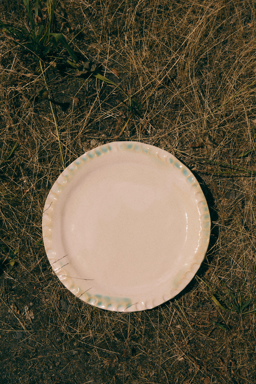 La grande assiettes Umi